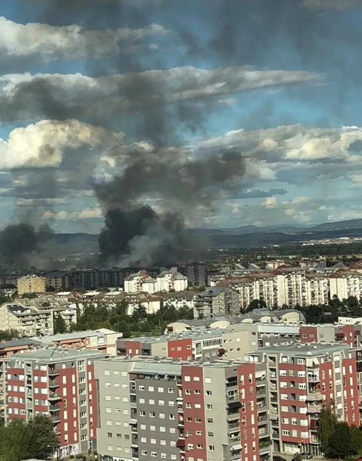 Шукова: Георѓиевски манипулира или е целосно некомпетентен, па ветува парк во Вардариште