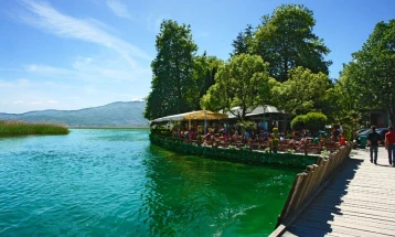 Pesë kandidatë të pavarur për kryetar komune dhe tre lista të pavarura për këshilltarë në Strugë