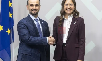 Муртезани: Копенхашките критериуми мора да останат водилка на процесот на проширување