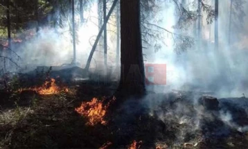 QMK: Nuk ka zjarre aktive, katër janë nën kontrollë, 13 janë shuar