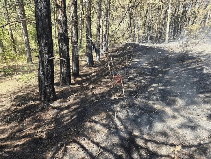 Под контрола пожарот во атарот на село Никуштак, Липковско