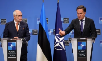 Руте: Очекувам во Париз утре да се разјасни какви гаранции можеме да ѝ обезбедиме на Украина