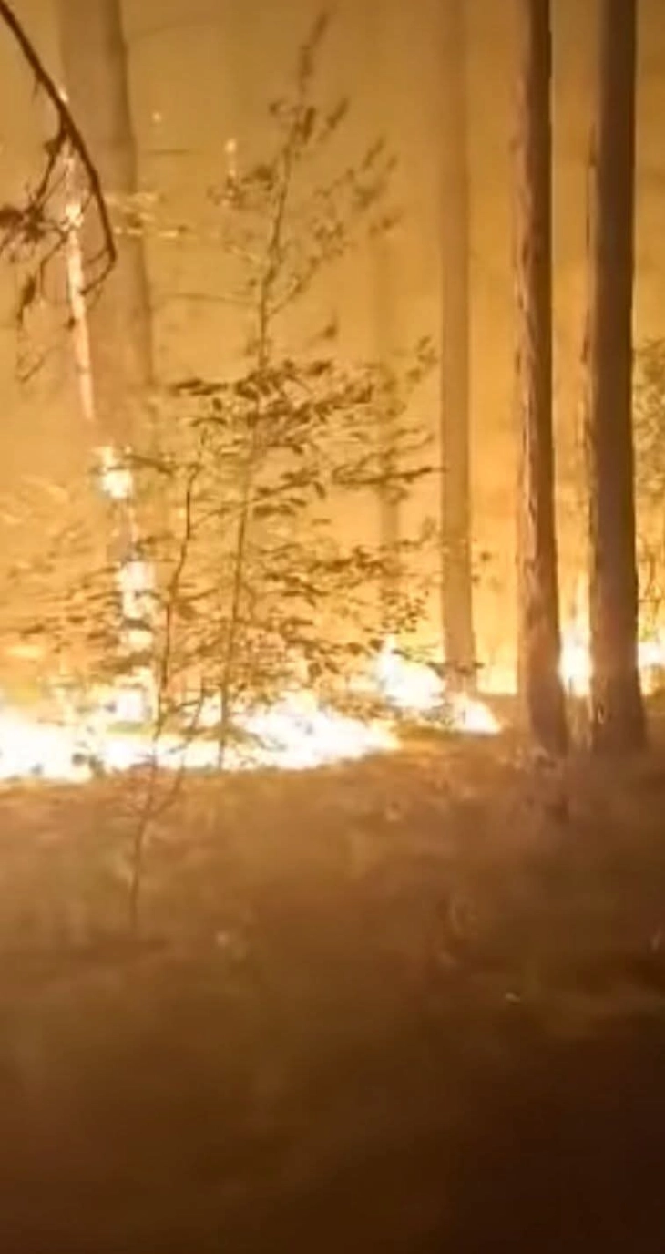 Апел од градоначалникот на Берово: Граѓаните да се вклучат во гаснењето на пожарот на Гарваново андак