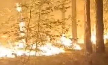 Апел од градоначалникот на Берово: Граѓаните да се вклучат во гаснењето на пожарот на Гарваново андак