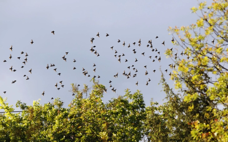 Mot me diell dhe i nxehtë me temperatura deri 36 gradë