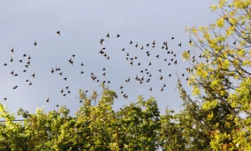 Mot me diell dhe i nxehtë me temperatura deri 36 gradë