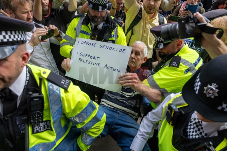 Лондонската полиција уапси десетици лица на протест за забранетата организација „Дејствувај за Палестина“