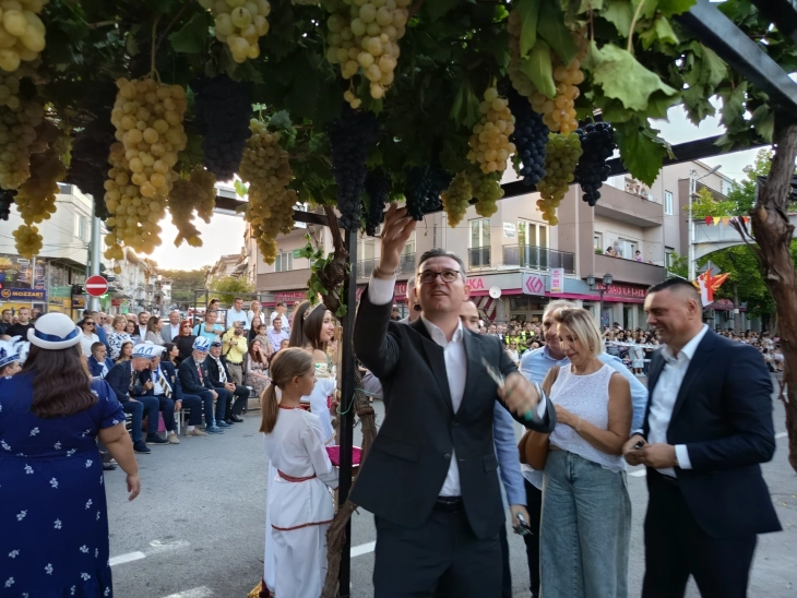 Во Кавадарци се одржа традиционалниот „Тиквешки карневал