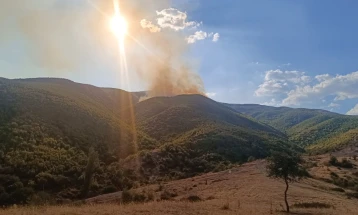Пожарот кај Никуштак активен, во гаснењето вклучени два „ер трактора“