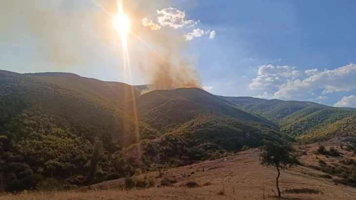 Сѐ уште активни пожарите кај селата Никуштак, Лабуништа, Татеш и Грешница, пожарите кај селото Русиново и Вардариште ставени под контрола