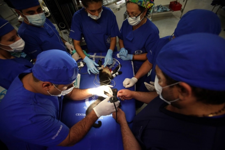 Здружението на полски хирурзи критикувано поради мизогинија