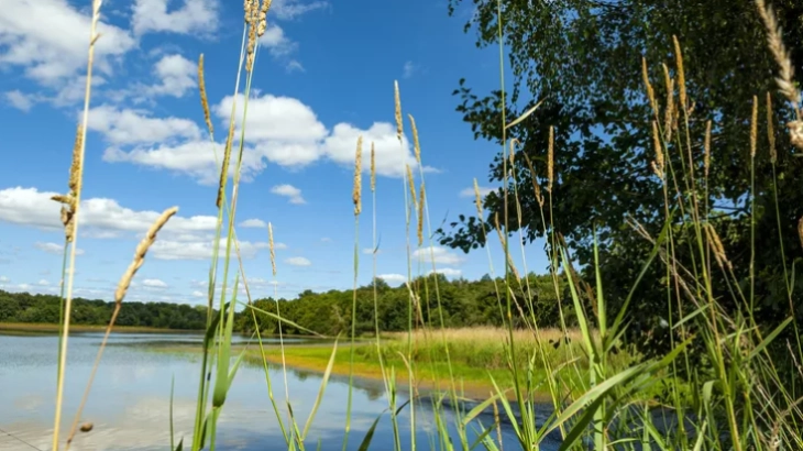 Трошоците за заштита на животната средина во 2024 повисоки за 18.3 % од претходната година
