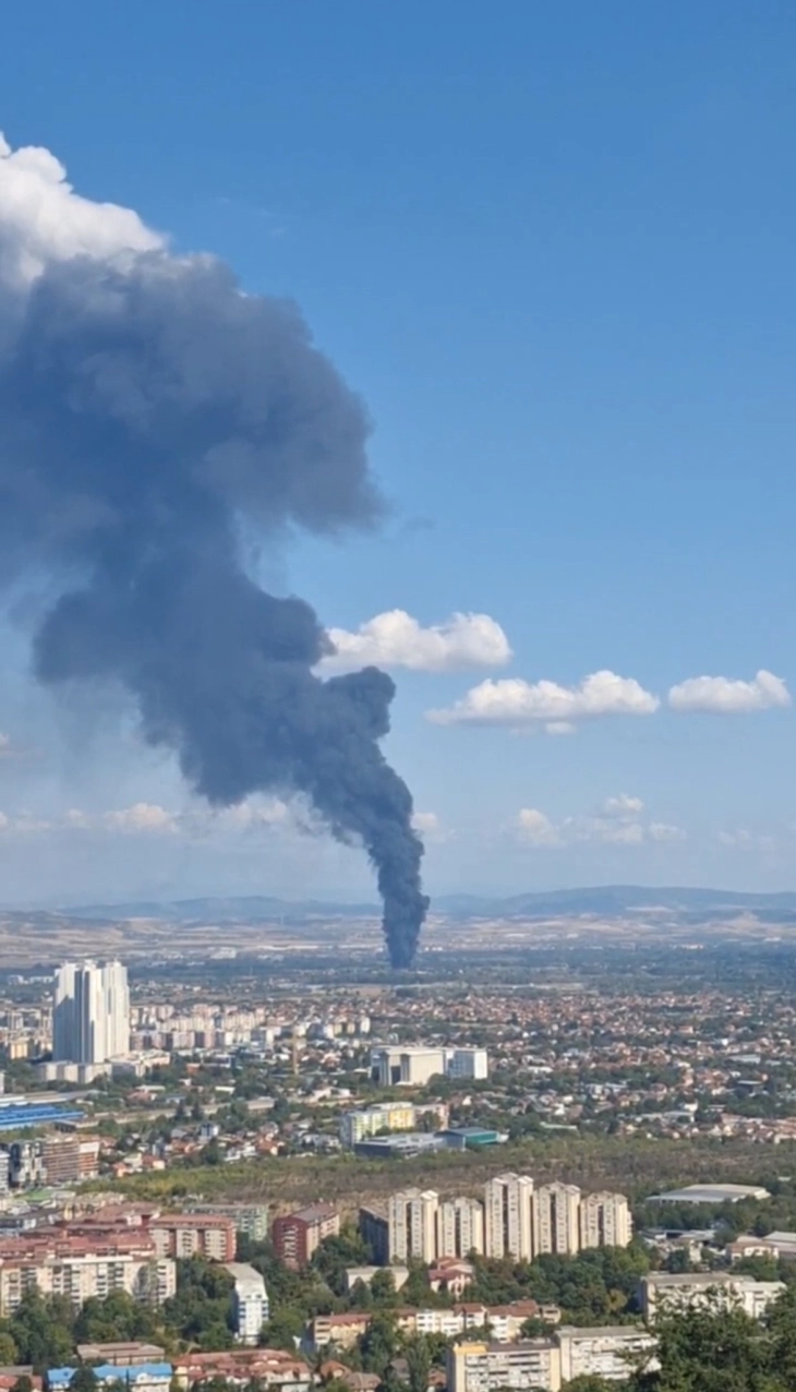 Мециновиќ: Институциите немаат никаква системска регулација и инспекциски надзор