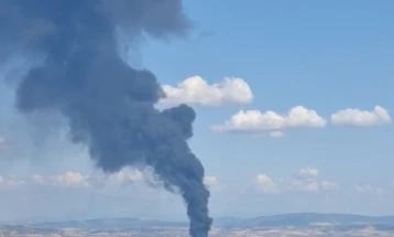 Мециновиќ: Институциите немаат никаква системска регулација и инспекциски надзор