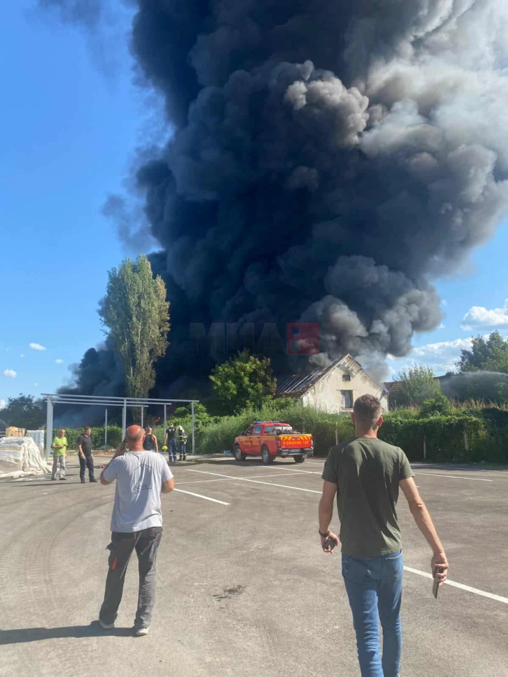 Gjashtë automjete zjarrfikëse, dy helikopterë edhe një er-traktor e shuajnë zjarrin në Trubarevë