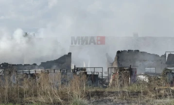 Определен краткотраен притвор за четири лица осомничени за пожарот во Трубарево