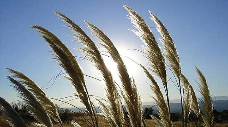 Sunny weather, temps up to 33C