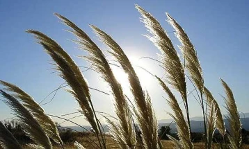 Sunny weather, temps up to 33C