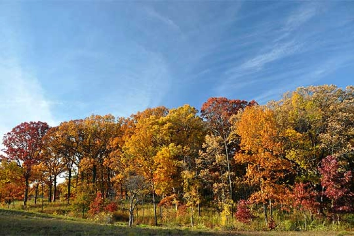 Сончеви денови пред нас, но со посвежи утра