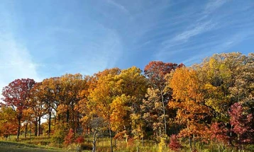 Сончеви денови пред нас, но со посвежи утра