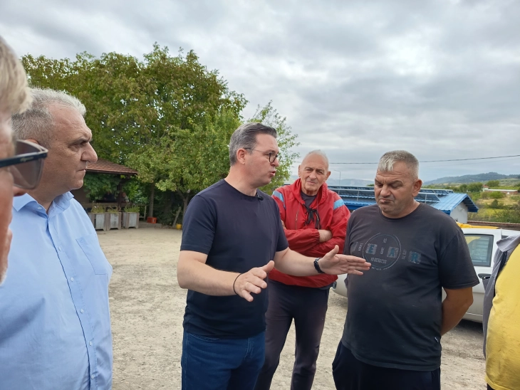 Трипуновски: Лозарите не треба да бидат загрижени, секое зрно грозје ќе биде откупено  