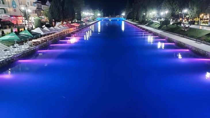 Обвинение за Мерко за злоупотреби при осветлувањето на коритото на Црн Дрим