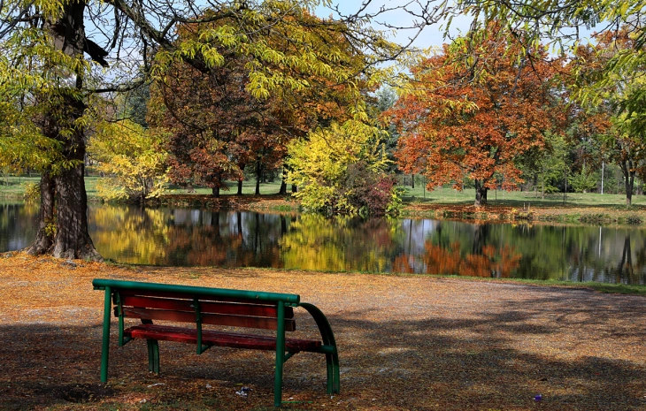 Weather: Clear and chilly morning, sun later; high 28°C