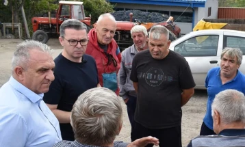 СДСМ: Грозјето скапува на нивите – лозарите се повторно изневерени