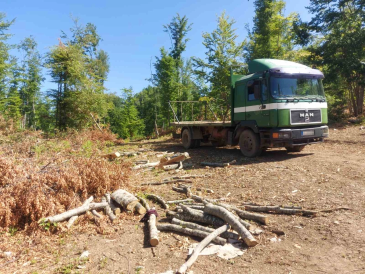 Отворена истрага против 15 лица осомничени за пустошење шуми, меѓу кои и директорот на ЈП Национални шуми – ПО Малешево и началникот на ОВР Делчево