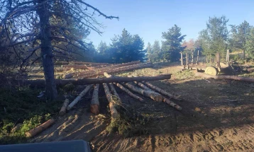 15 detained, including officials from Interior Ministry, National Forests, Agriculture Ministry, causing €100 million in forest damage