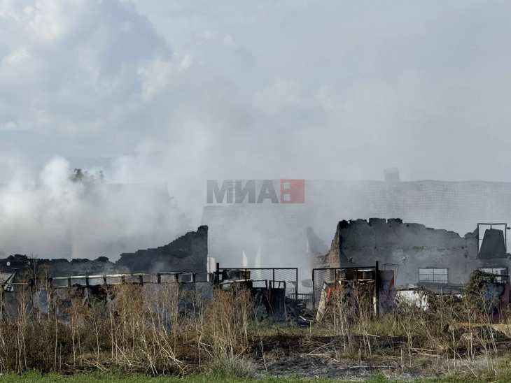 Меџити: Ќе се преземе се што е потребно за санирање на еколошките штети по пожарот во Трубарево