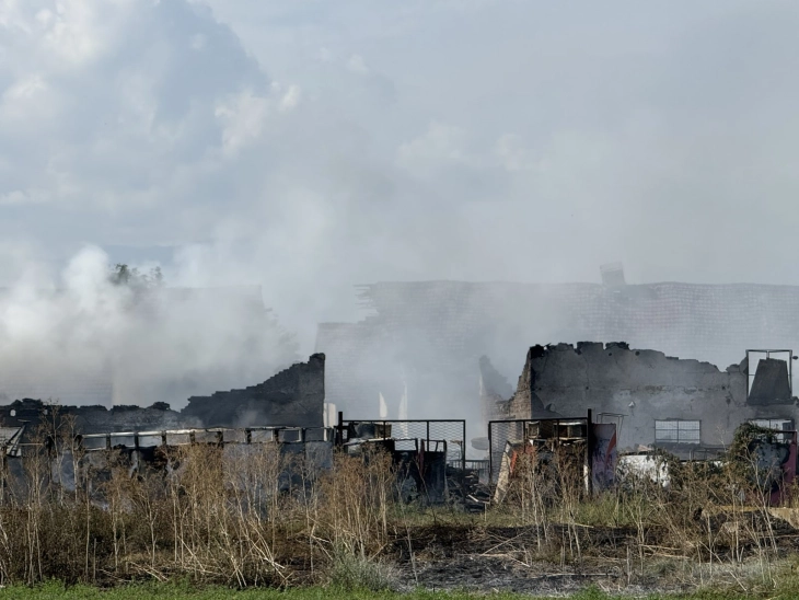 Mexhiti: All necessary measures will be taken to repair environmental damage from Trubarevo fire