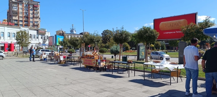 Во Тетово се одржа саем на недрвни шумски производи