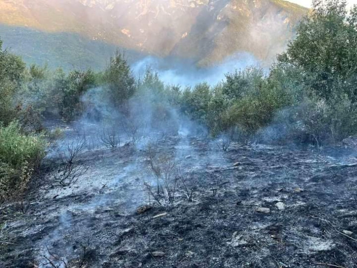 Кривична пријава за двајца дебрани за предизвикување пожар во градски парк