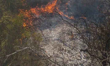 Digjet pylli me lisa dhe fier në malin Dobra Vodë, ndërsa pyll i përzier në Çuçer Sandevë dhe likovë