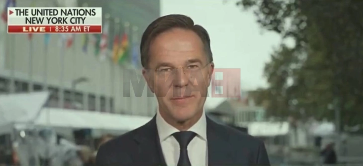 Rute tallet me Rusinë:  Ariu nuk duhet t'u tregojë të gjithëve se është ari, kjo gjithsesi shihet