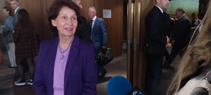 Diaspora council to be constituted to boost contacts, says Siljanovska - Davkova