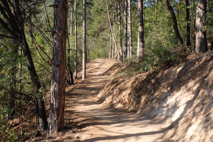 Исчезнат полски државјанин на Водно, активирани тимови за потрага и спасување