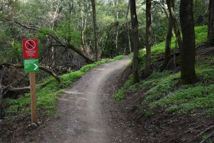 Успешна спасувачка мисија на Водно, две лица безбедно пронајдени и евакуирани