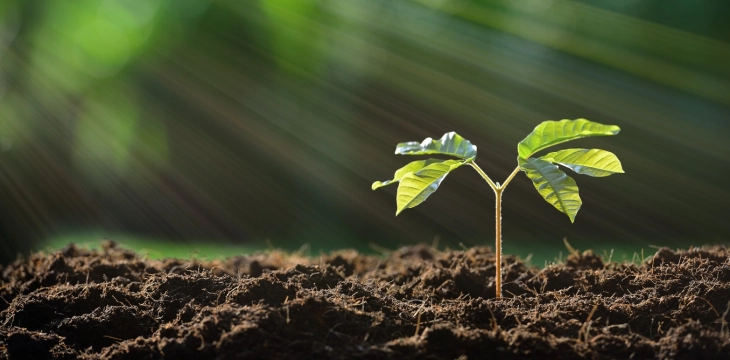 Советот на ЕУ усвои нови правила за зајакнување на отпорноста на почвата во Европа 