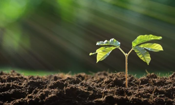 Советот на ЕУ усвои нови правила за зајакнување на отпорноста на почвата во Европа 