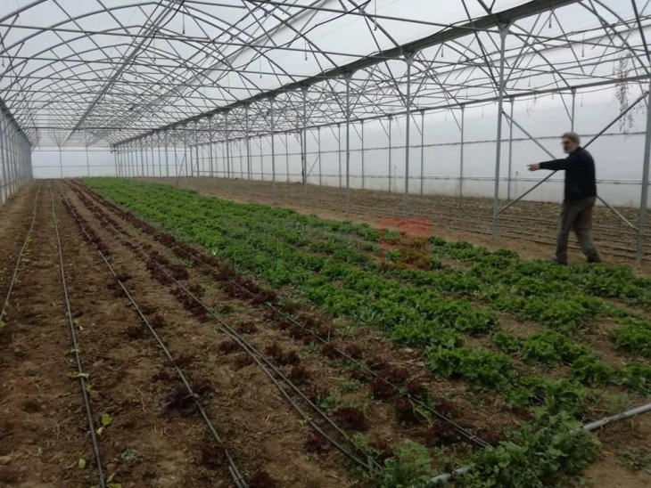 EEA: Në Maqedoninë e Veriut ekziston mbështetje institucionale për të përmirësuar mbrojtjen e mjedisit jetësor