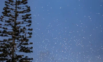 Ushtria izraelite ka hedhur fletushka me paralajmërim deri te banorët e Gazës