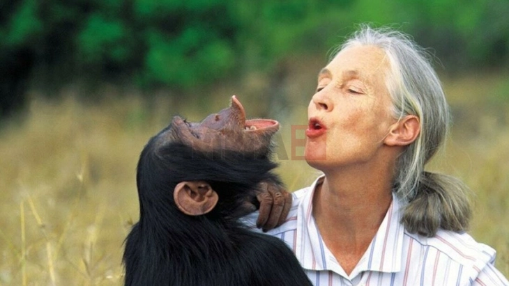 Светски познатата активистка за правата на животните, Џејн Гудал почина на 91 година