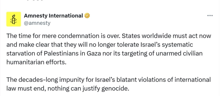 АИ: Пресретнувањето на глобалната флотила претставува чин на заплашување