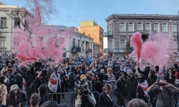 Демонстранти упаднаа во дворот на претседателската палата во Тбилиси на денот на локалните избори