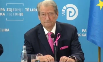 Албанските демократи ќе поддржат независни кандидати за градоначалници на предвремените избори во шест општини