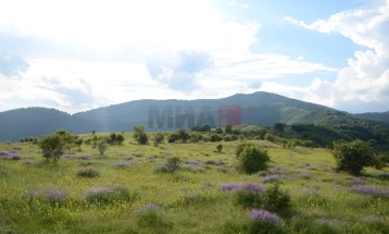 Mot i ndryshueshëm me vranësira dhe reshje të kohëpaskohshme të shiut