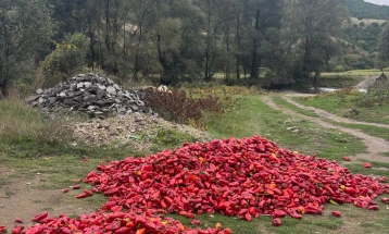 СДСМ: Целосен дебакл со откупот на пиперката