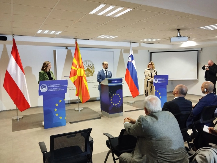 Plakolm and Grašič: QMV at intermediary stages of accession will prevent further bilateral blockades